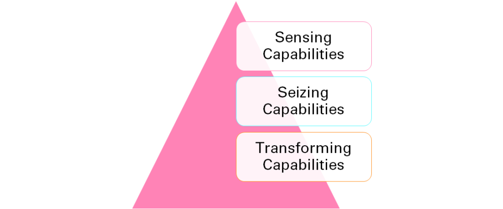 Dynamic capabilities of high performing organization