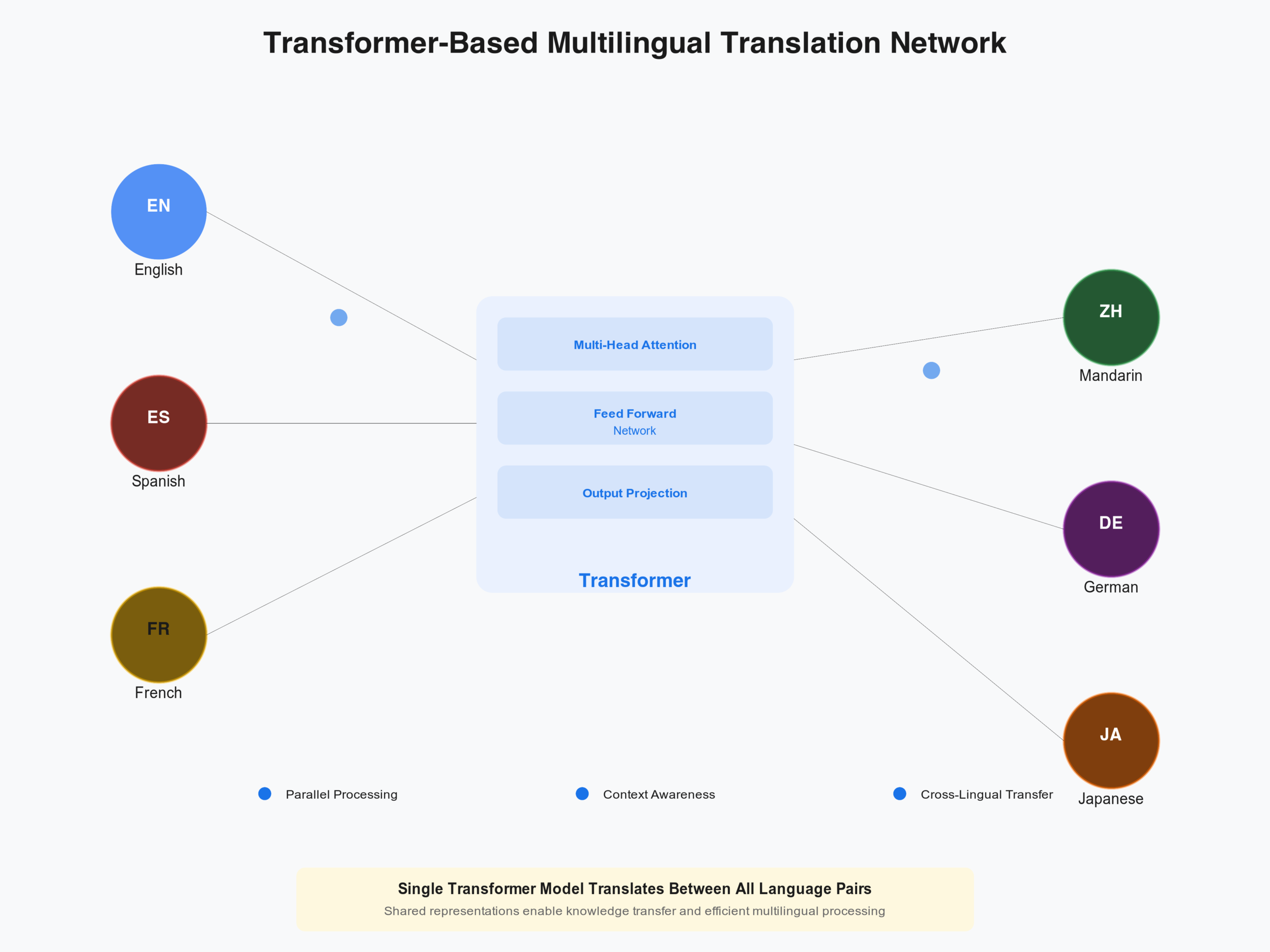 How Transformers Connect Multiple Languages in Translation Networks