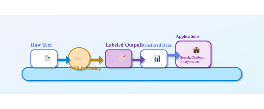 NER Pipeline Infographic
